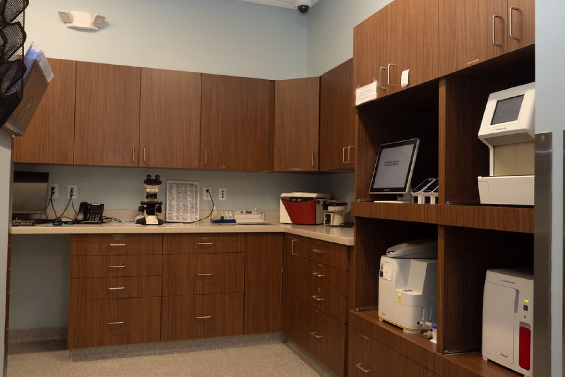 Laboratory Diagnostics at Sugar River Animal Hospital