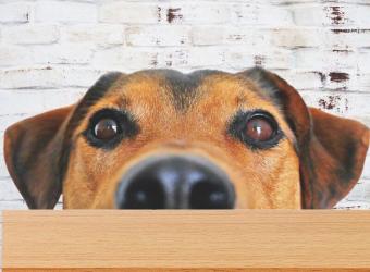 Is This Deadly Medication in Your House?