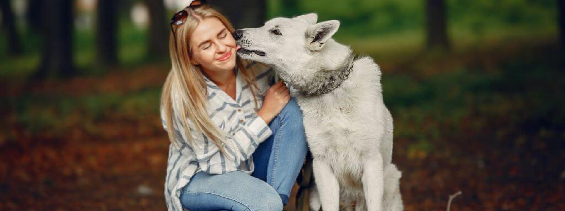 Love Languages of the Animal Kingdom: How Our Furry Friends Show Affection Love Languages of the Animal Kingdom: How Our Furry Friends Show Affection