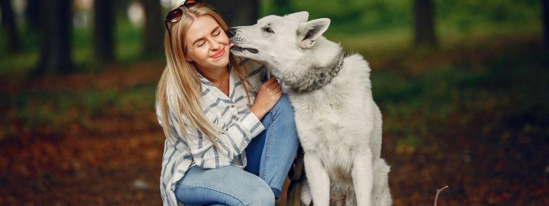 A dog licking its owner's face.