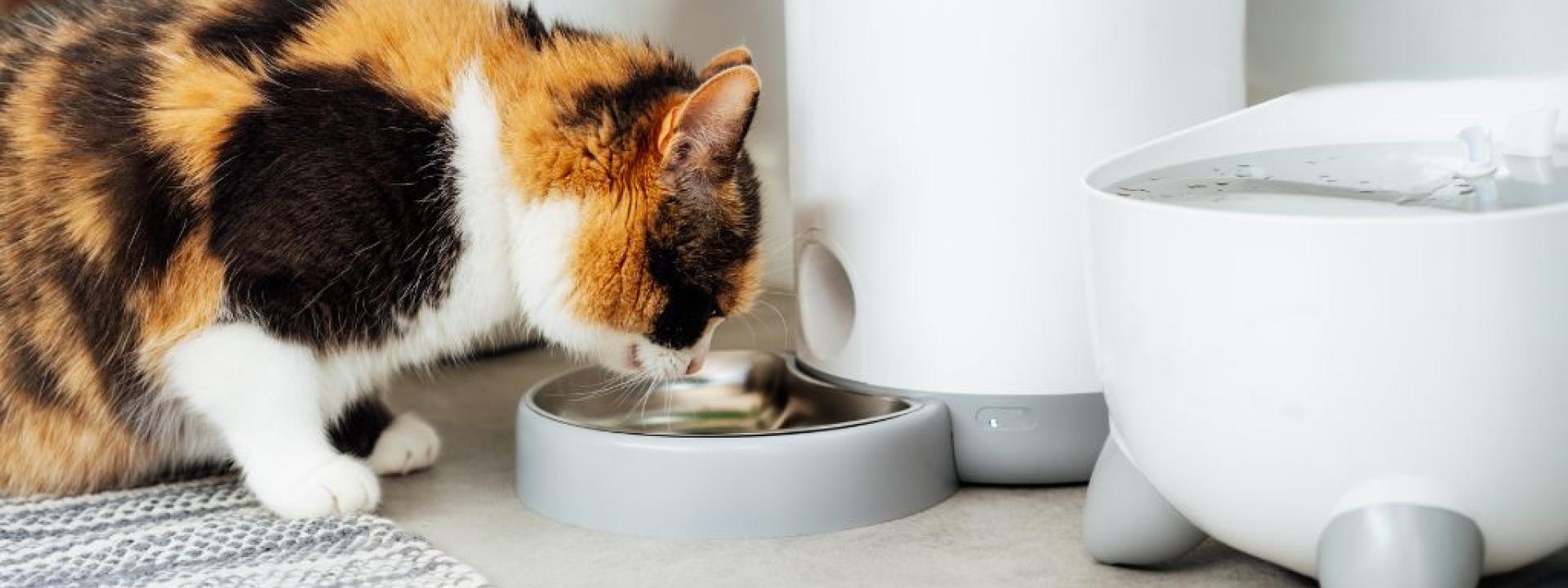 Smart Pet Technology A cat eating from an automated feeder with Smart Pet Technology