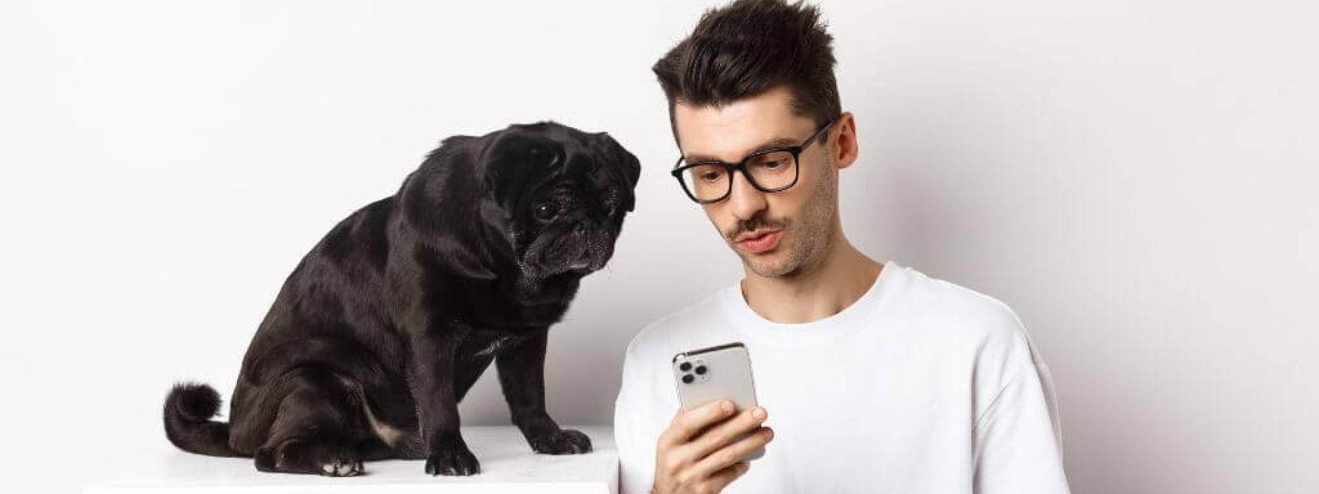 Veterinary Big Box and Online Pricing: Why is My Veterinarian Always More Expensive? A black pug and its owner shopping on a smart phone